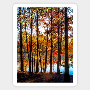 Colorful Contrasted Trees Sticker